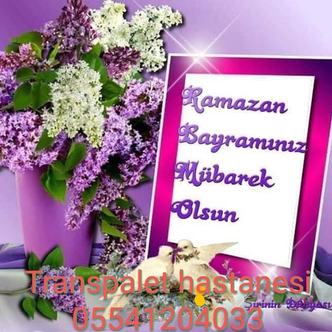 Transpalet Hastanesi (@ihsanmalok) on Twitter photo 