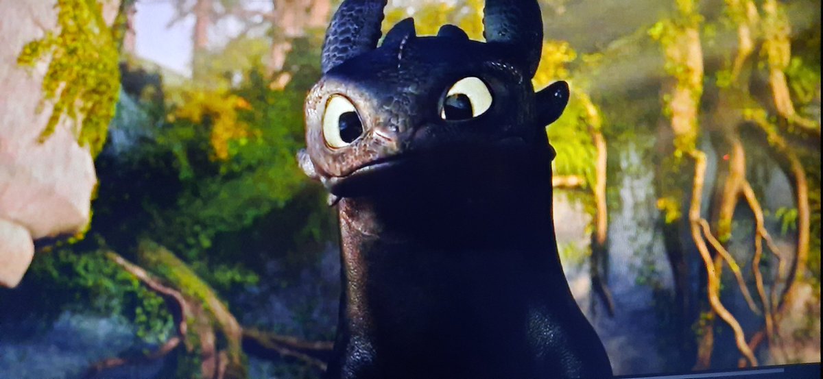 i wanna pet toothless 