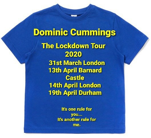 Dom_McQue's tweet photo. Available at all good T-shirt shops now... 
#DominicCummngs 
#CummingsOnTour2020 https://t.co/iNYh7CSk0t