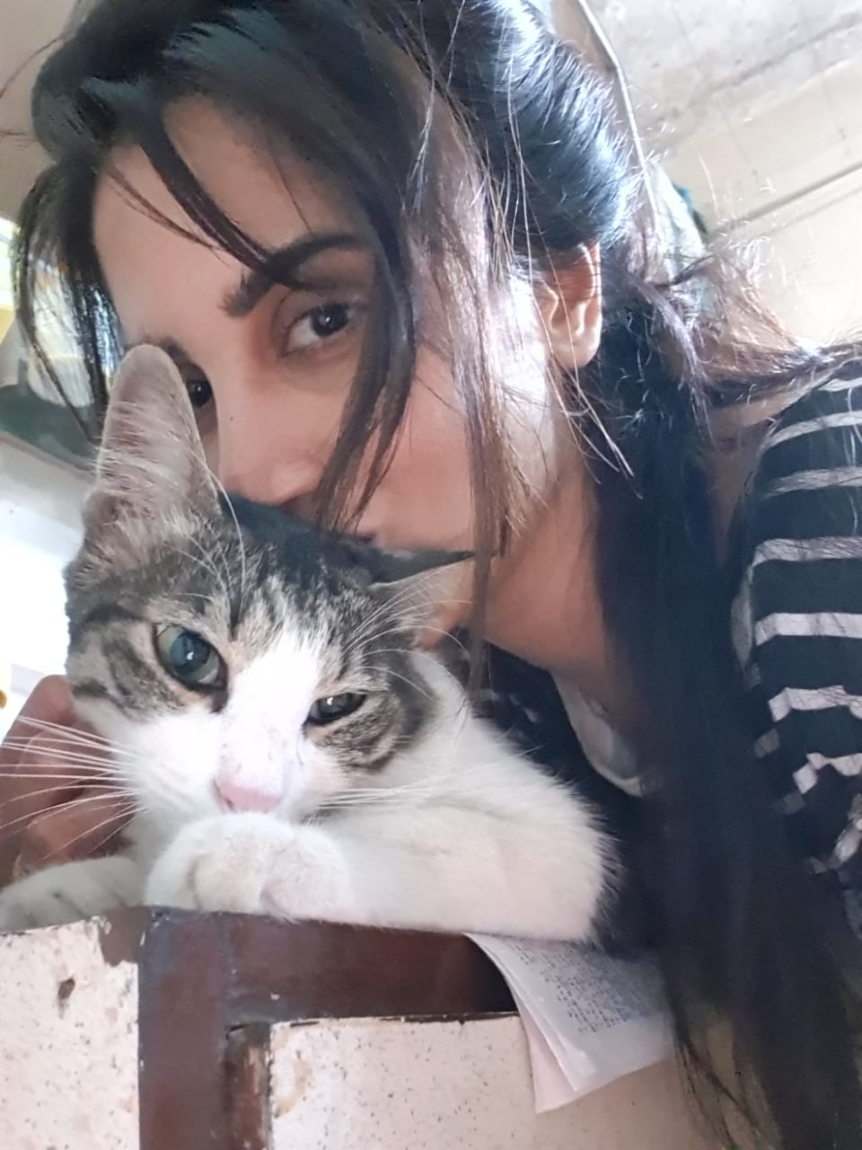 Smita Gondkar on Twitter: "Kisses and hugs #Adorable #Cats #NoMakeup #CatLover #AnimalLover #Animal #Cat #Love #Cuteness #Cute #innocent #NomakeupLook #Nofilter #Instagram #Instalove #care #selfcare #repost #likeforlikes #celeb #star #celebritystyle ...