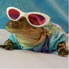 DeadGrxn's tweet photo. Current mood https://t.co/RR5Lc91cba