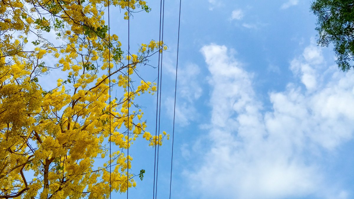 hack_21zone's tweet image. landscape @ mtu