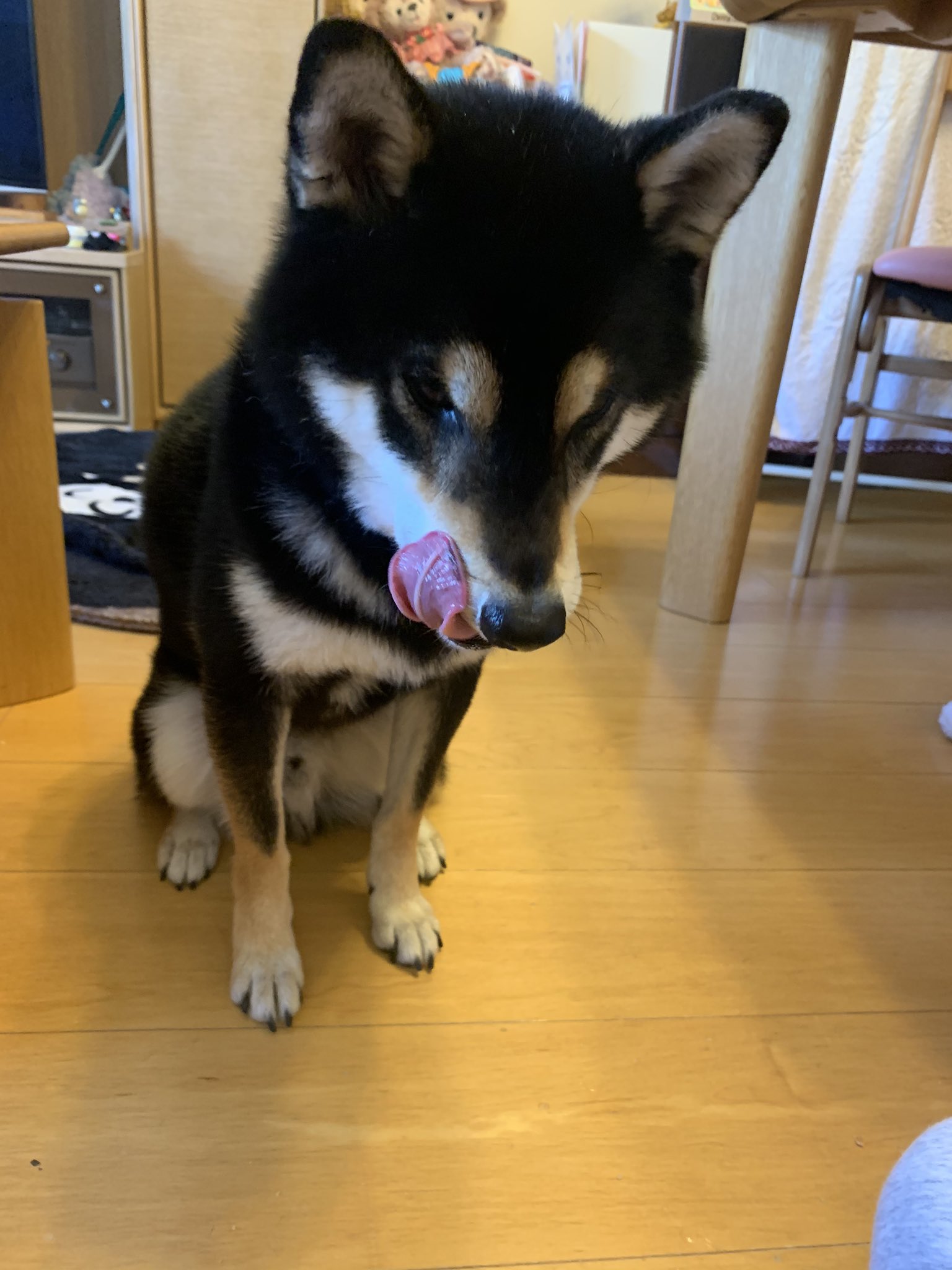 Xxmie Disneyxx 1 サクサクヒマチーだよ 2 僕の真剣な眼差しの先にあるものは 3 小さくなったヒマチーをレンジで温めてパパがちょうどいいサイズにしてくれてるとこなの ロアジス Himarayacheese Loasis ヒマラヤチーズ ヒマチー