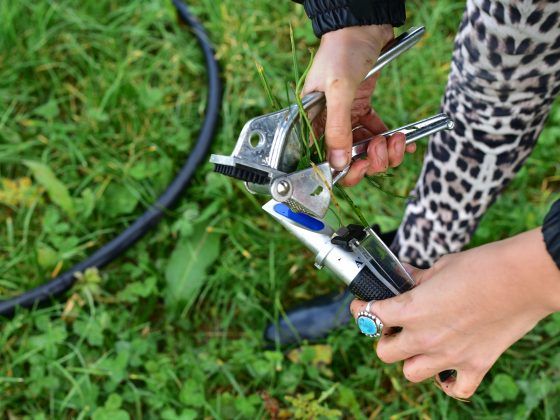 soilmentor's tweet image. Do you use the #brixtest to record nutrient density of your grass? Remind yourself how in our monitoring page here ➡️ buff.ly/3e7mOZ8