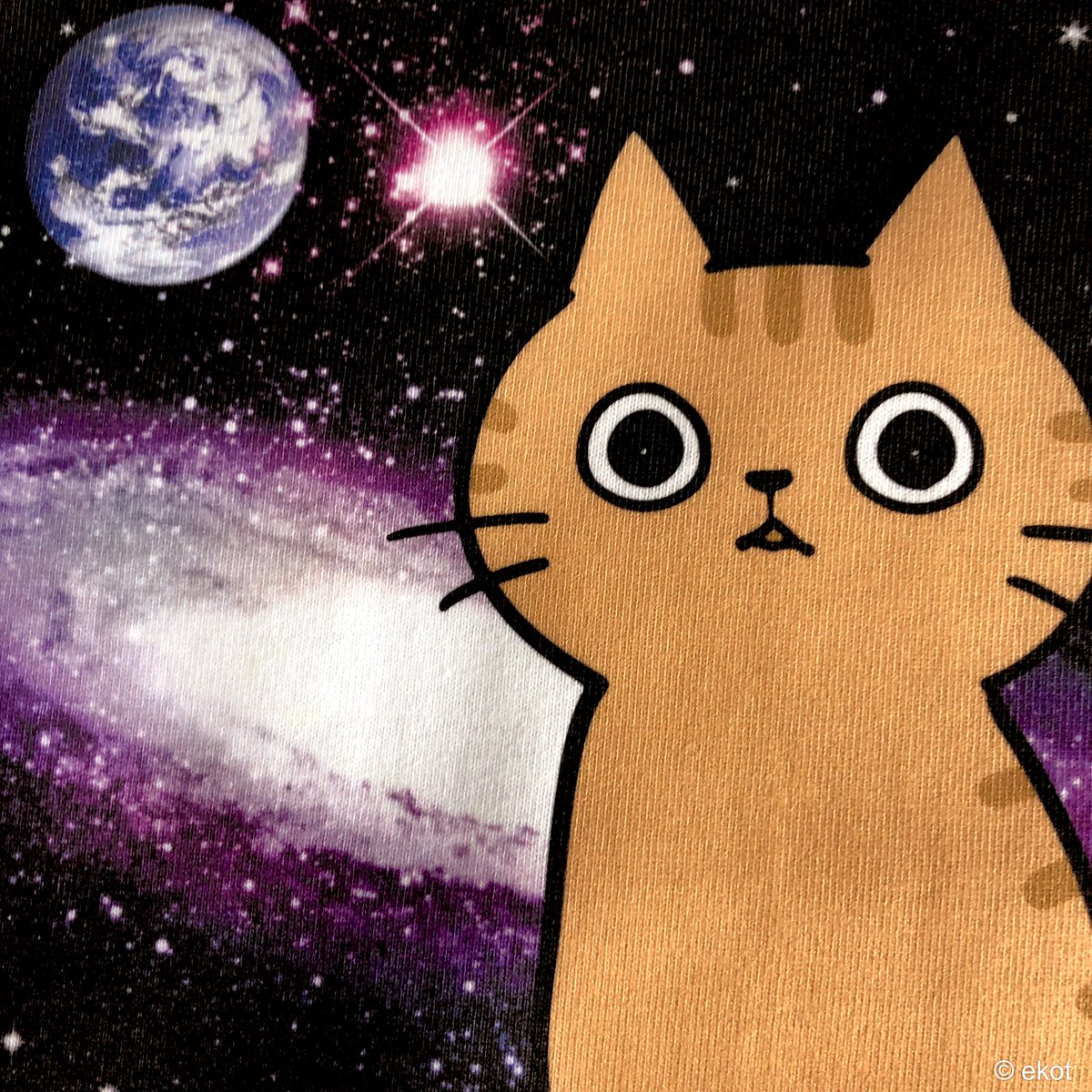 no humans cat space animal focus planet earth (planet) whiskers  illustration images