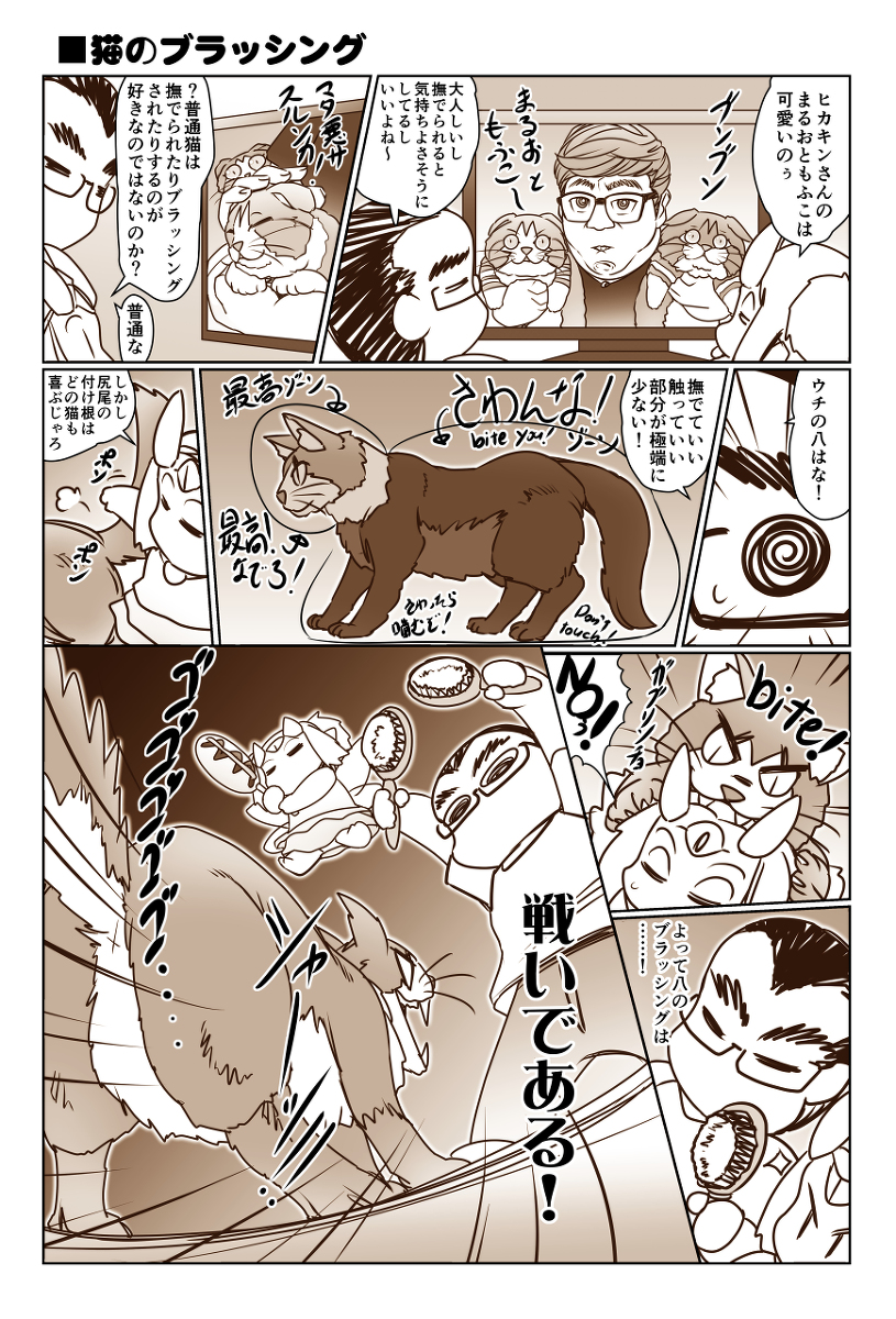 「猫のブラッシング」 #漫画 #猫 #日常 https://t.co/RumEyOxQzf 