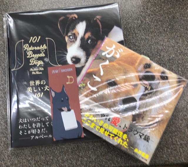 書泉グランデ 営業時間 11 00 00 5階 いぬ 本日のグランデのしおりは D Dog 犬です おすすめは犬 の写真集2点 世界の美しい犬101 がくこ どちらも美しいじゃないですか グランデ5階通信 犬 書泉グランデ 営業時間 11 00 00 5階 いぬ 本日のグランデのしおりは D Dog 犬です おすすめは犬 の写真集2点 世界の美しい犬101 がくこ どちらも美しいじゃないですか グランデ5階通信 犬