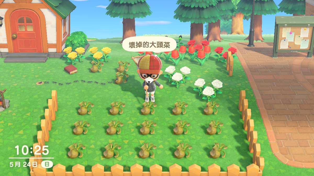 noil's tweet photo. #動物森友會 #AnimalCrossing #ACNH #NintendoSwitch https://t.co/ZJTBiil1sx