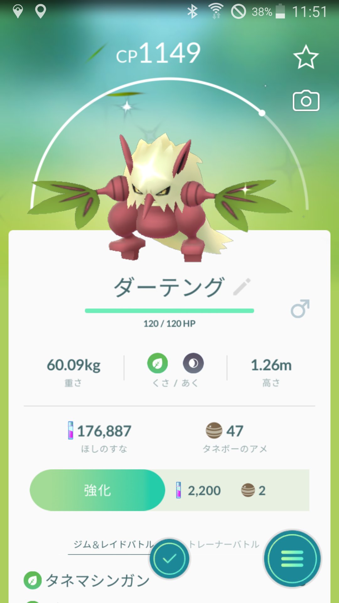 Siyku タネボーコノハナダーテング の色違い ポケモンgo タネボー コノハナ ダーテング 色違い コミュニティデイ T Co Loobwthdpb Twitter
