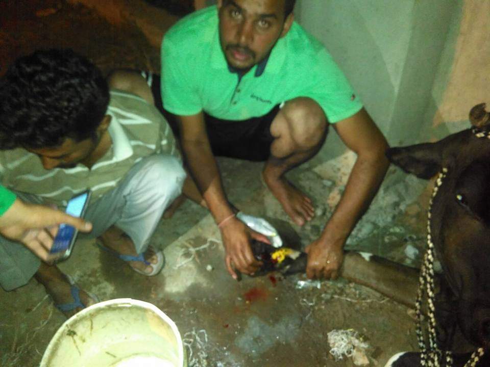 Bhartiya Gau Raksha Dal tweet media