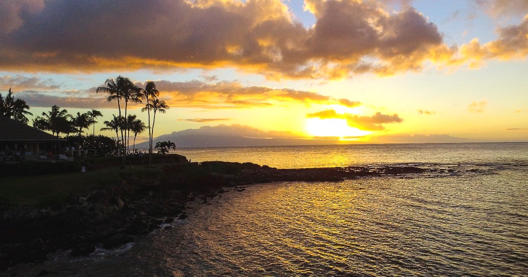 Corey Mount tweet media