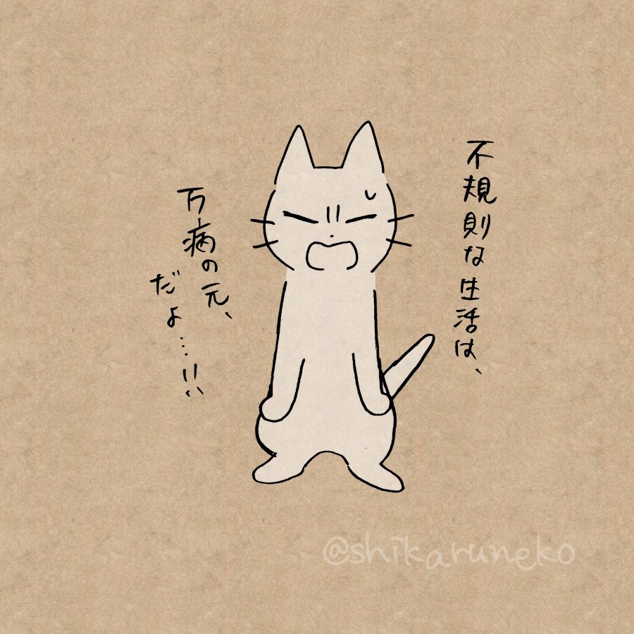 ついつい昼夜逆転してしまう人を叱ってくれる猫 