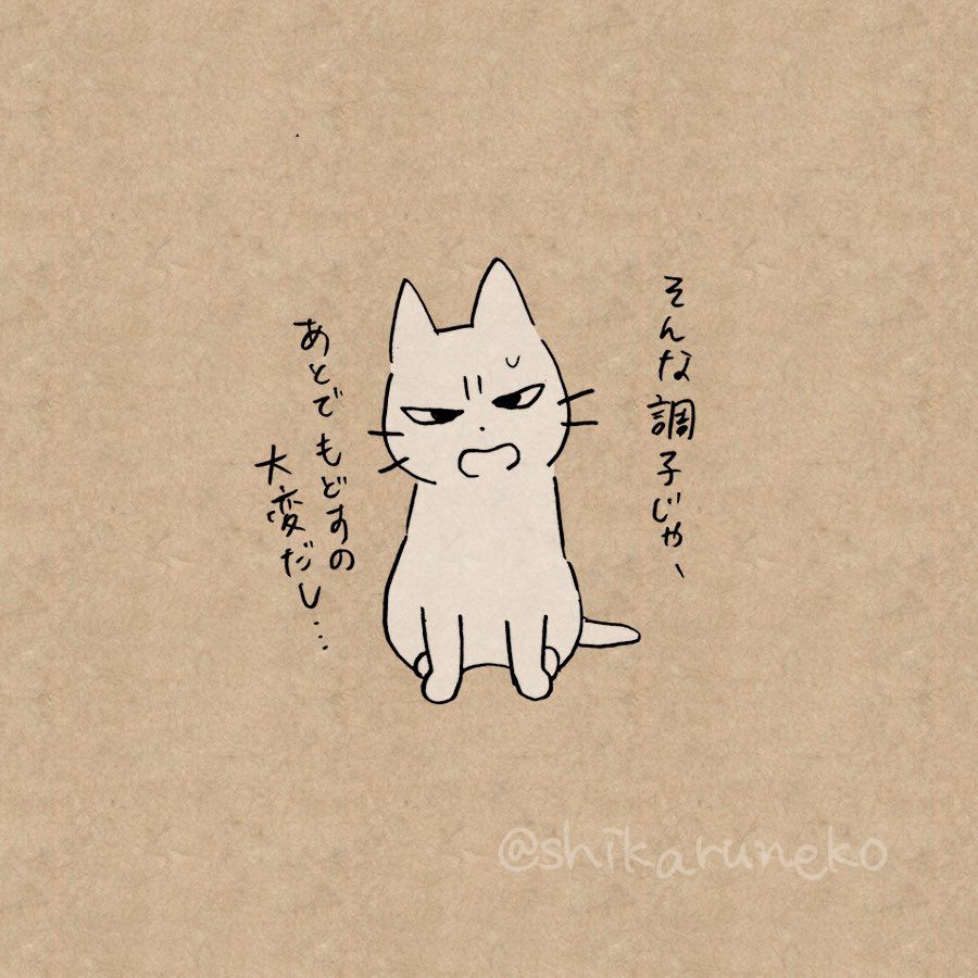 ついつい昼夜逆転してしまう人を叱ってくれる猫 