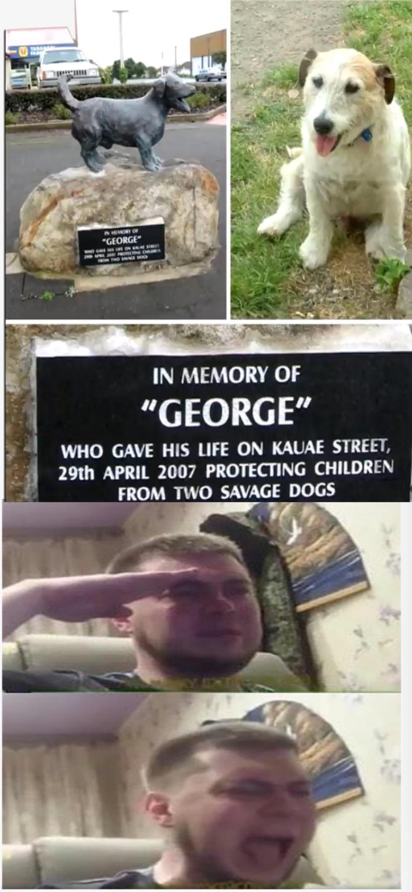 memes on X: Press f to pay respects for a very good boy   / X