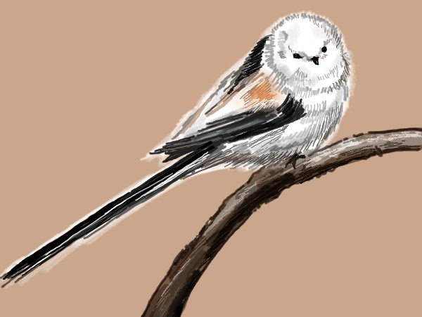 スミスge隠れ穴水族館 エナガ まんまる姿が可愛い イラスト好きな人と繋がりたい 鳥のイラスト エナガ スミスge隠れ穴水族館 エナガ まんまる姿が可愛い イラスト好きな人と繋がりたい 鳥のイラスト エナガ