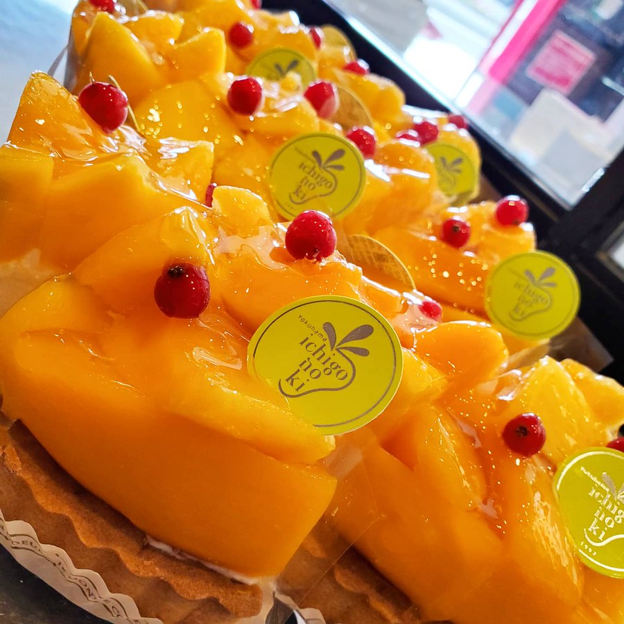 高田の いちごの樹 の口コミは 並ぶ 季節のフルーツケーキが絶品 ゆきんこブログ