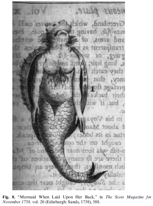 ῥ この論文中では 18世紀の人魚 が古典的イメージからより非人間的なイメージへと変化していることの一つの例としてこれを出しているのですが この時代だと日本の人魚ミイラも人魚 の非人間化に一役買っただろうなと想像されます