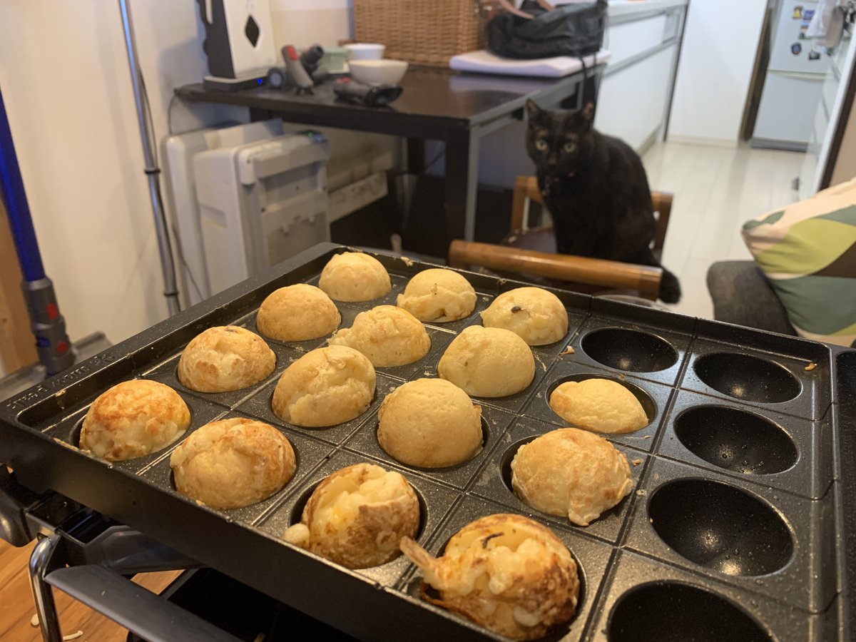 MShades01's tweet photo. We're finally a real Osaka household... #takoyaki #たこ焼き #SuspiciousCat https://t.co/JmtpEcocTO