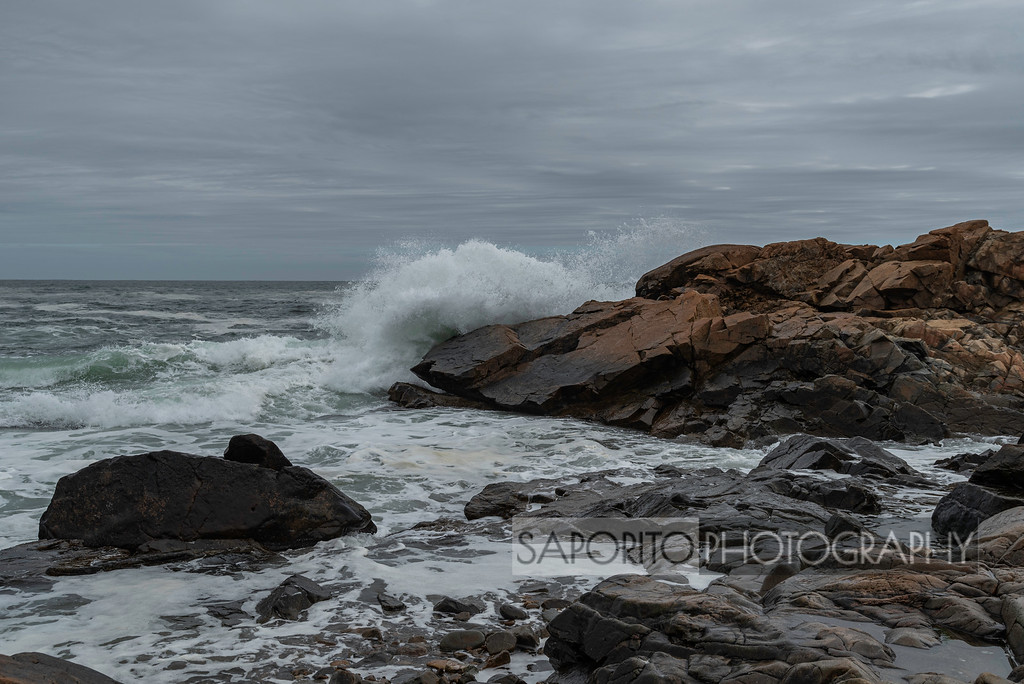 Saporito Photography tweet media