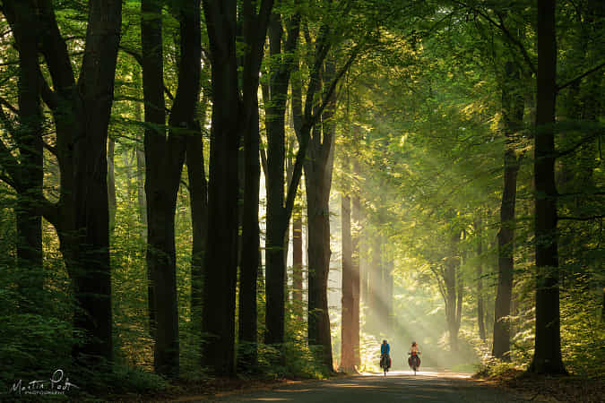 Dutch tradition by Martin Podt dlvr.it/RXFMYS