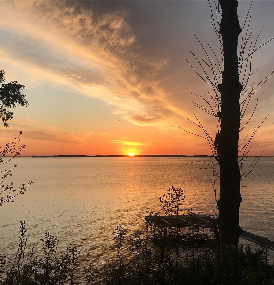 UTheKnockOut's tweet photo. Penny and I. ❤️
Views from lake Simcoe #NorthernOntario #lakesimcoe #upnorth #lifeinslowmotion #pieceofheaven #wishyouwerehere #poodlesofinstagram #showmeyoursunset #nevergetsold https://t.co/lDB9ZFSaMs