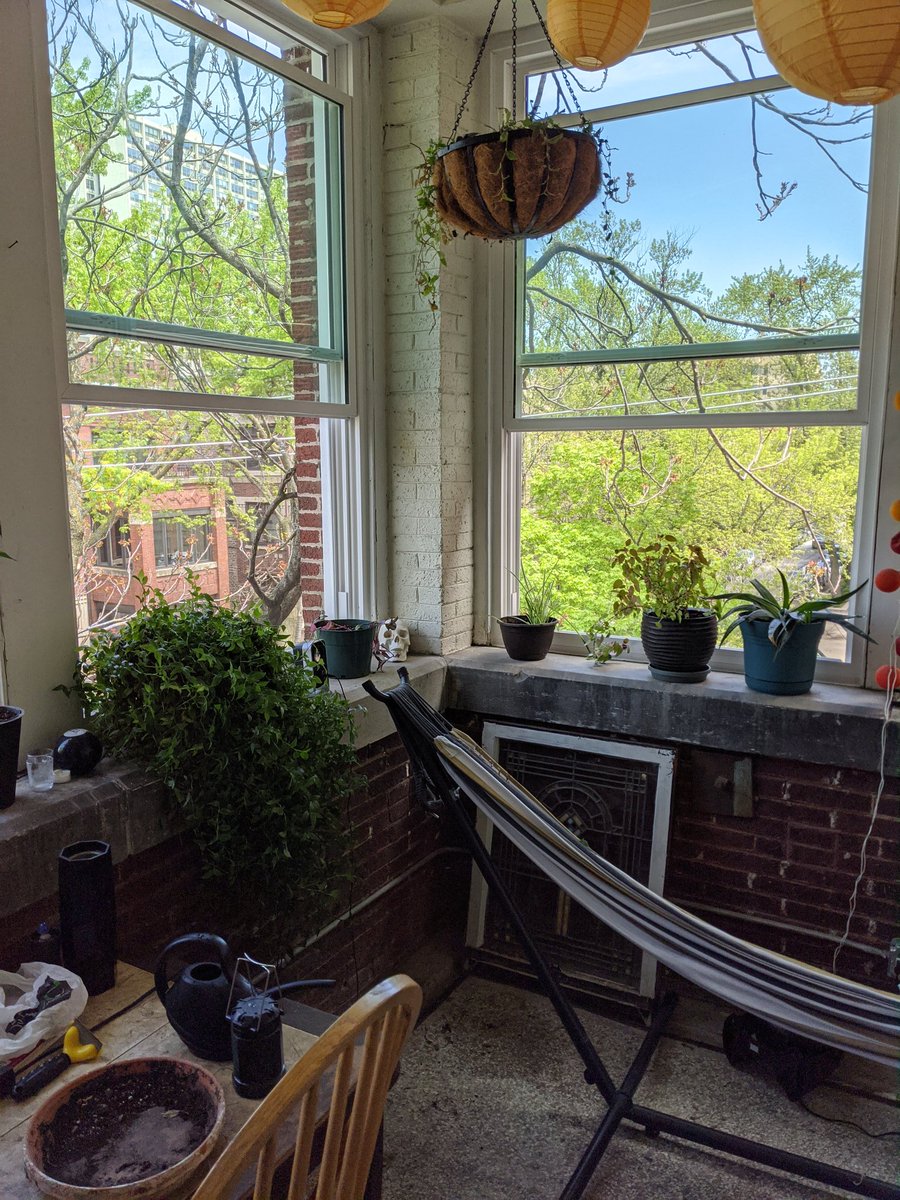  day 22: repotted a bunch of plants (which made a HUGE difference for one that used to drip like crazy), went for a walk, helped clean the basement, forgot to close the windows before rain, made soup & grilled cheese for dinner, and worked on my frenzy resistance in Bloodborne.