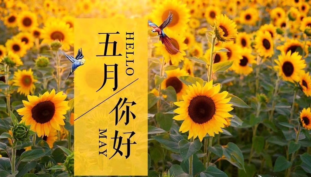 wangqi88771's tweet photo. #桂圆红枣枸杞茶#桂圆蛋糕#桂圆肉#桂圆红枣#桂圆干#桂圆红枣茶#桂圆#枇杷葉#枇杷屋#枇杷茶

3 https://t.co/6pHzG9Rwoj