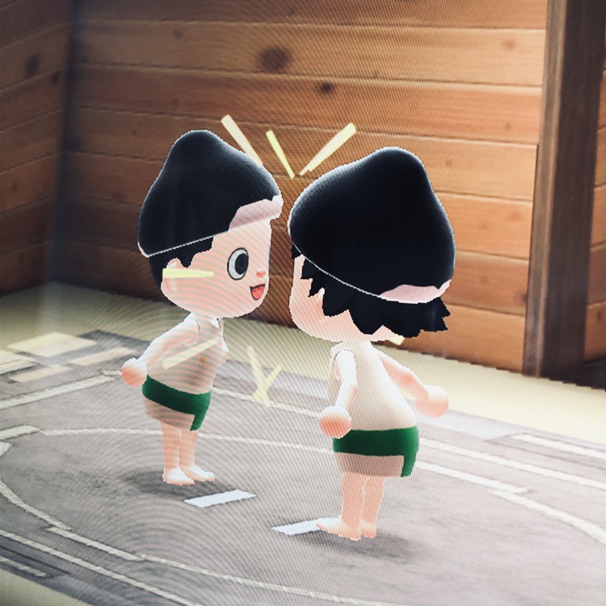 sumobon's tweet photo. 改良の余地あり
#あつまれ大相撲　#あつ森 https://t.co/UikWASL6nw
