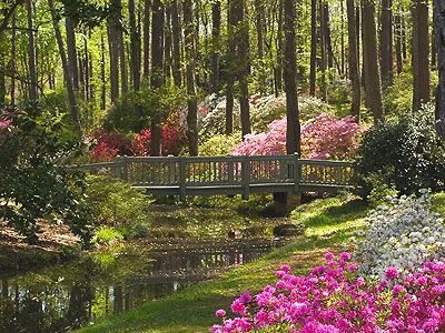 Callaway Resort and Gardens located in Pine Mountain, Georgia. I had to include it even if it’s a popular tourist attraction bc much like the other places it’s stunning!!