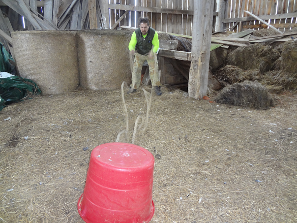 joshuaeeriksen's tweet photo. In the barn, using battle rope w/Tabata sprint protocol being 7 hard intense 1 min altrnate battle rope jump squats w 30 sec rest periods between each. #Amos2:14 #clearvisionready2020 #fattofitnoquit #fightyoflight #fababs #icanucantoo #generationjoshua
@ https://t.co/3eN3eFFTXl https://t.co/R1QMXXQS9h