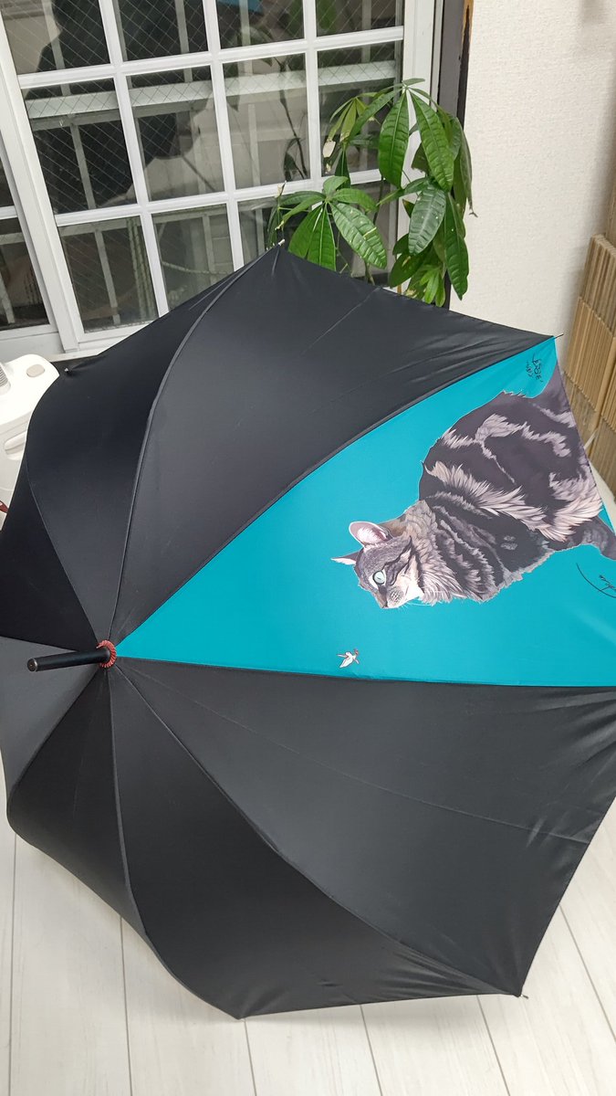 動物病院 Cafe ティティの傘 折りたたみ傘 在庫分完売です キャンセル分と予備分おそらく4本 後日販売します 長傘はあと6本在庫あります 同梱不可商品なので送料ちょっとお高め 1サイズ ですが とっても素敵な傘ですよ 長傘 5000円 本