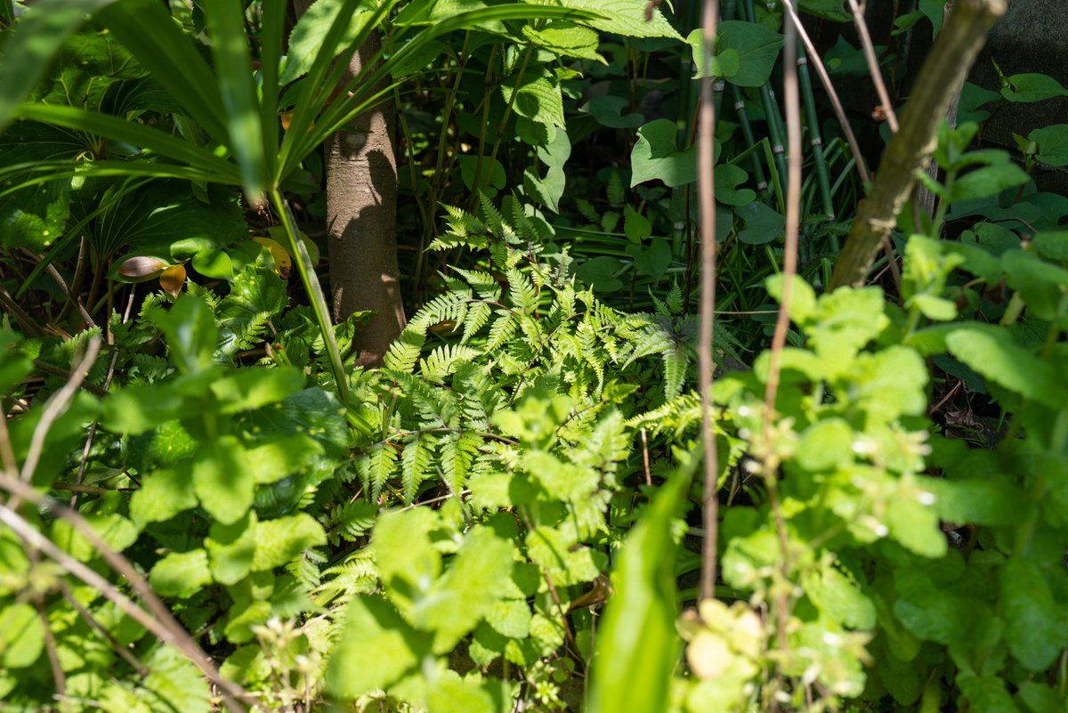 E7 A0 A5 E8 8d Twitter Search