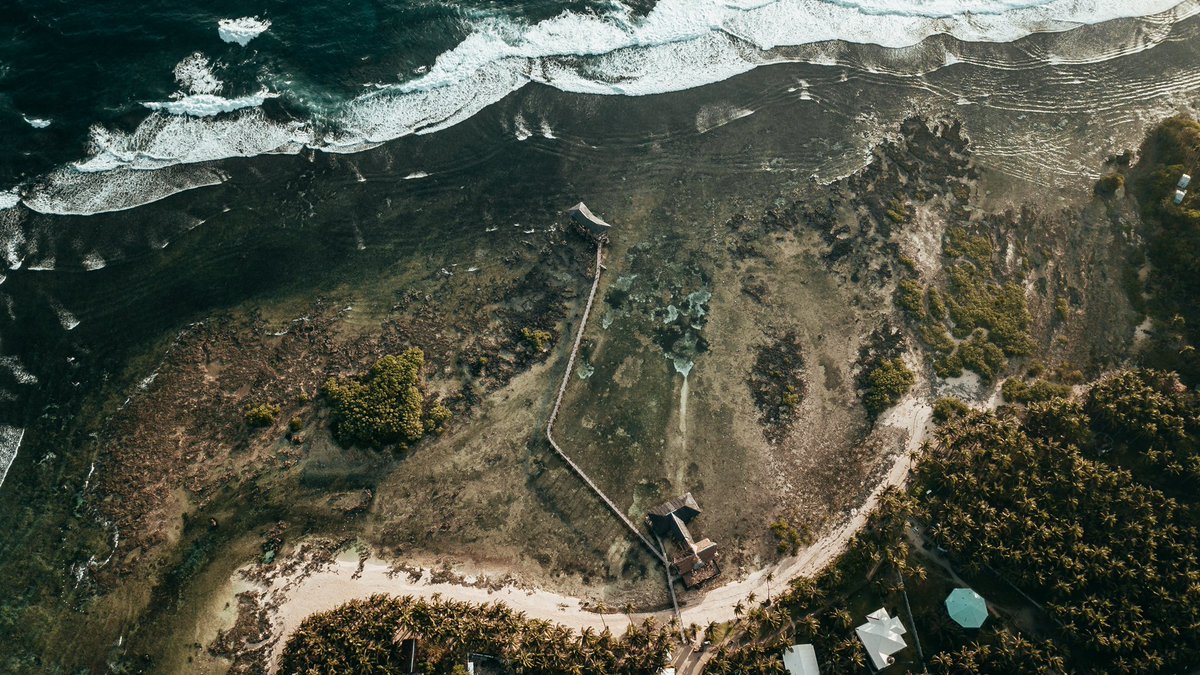 Nate DOGE. tweet media