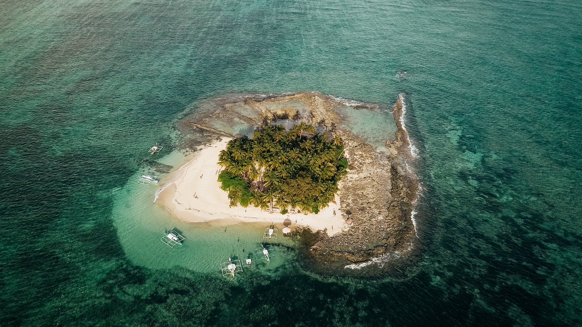 Nate DOGE. tweet media