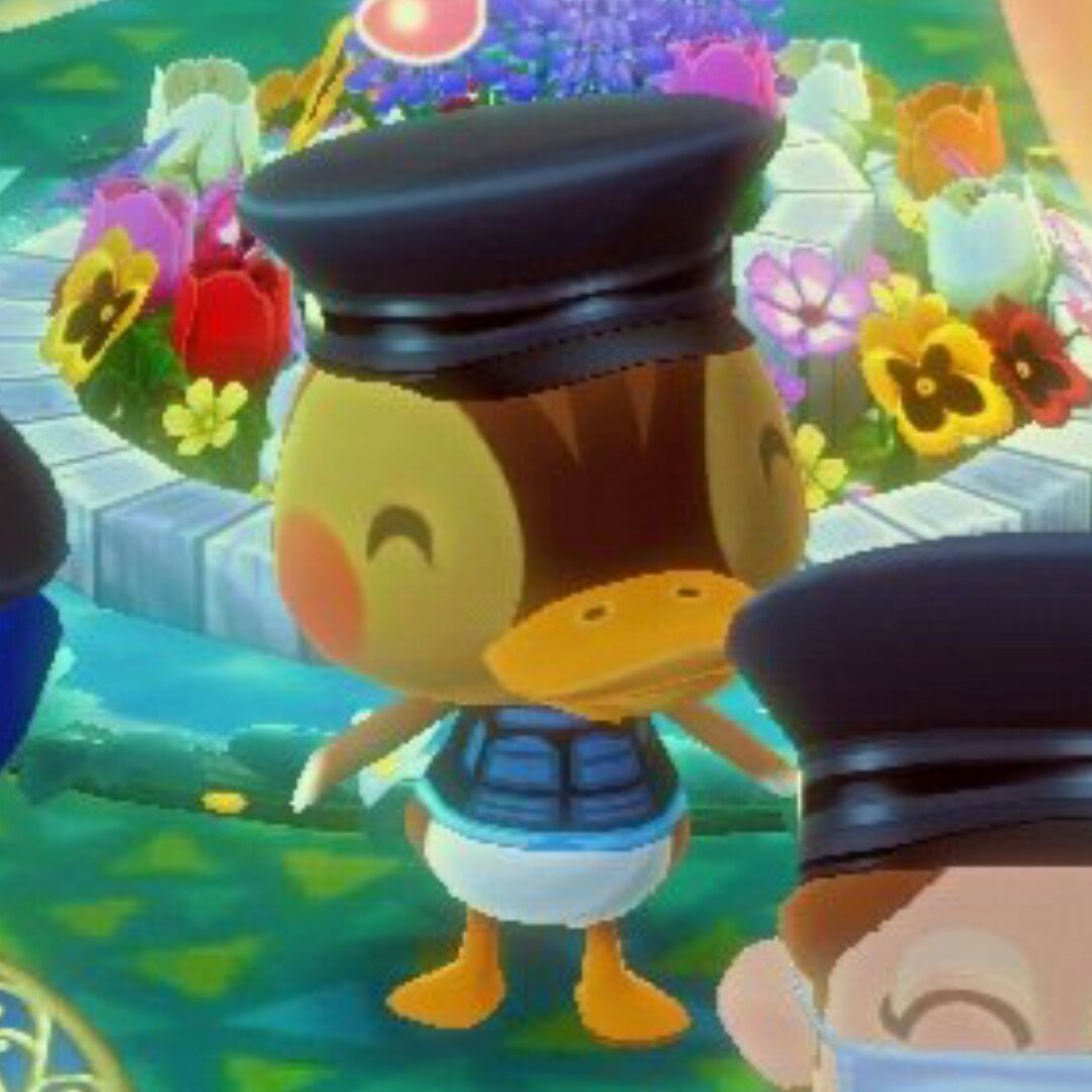  #winwin as molly from animal crossing ㅤㅤㅤㅤ ✎ ⇢ a thread