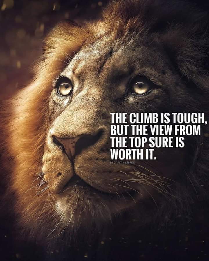 WESMCFARLANDJR's tweet photo. No matter how bad things are, my heart and my mind will carry my body when my limbs are too weak. Who am I? I am a #champion! #Commitment separates those who live their #dreams from those who live life regretting the #opportunities they've squandered.
#Mindset #DiamondReady💎 https://t.co/aOASMycHzc