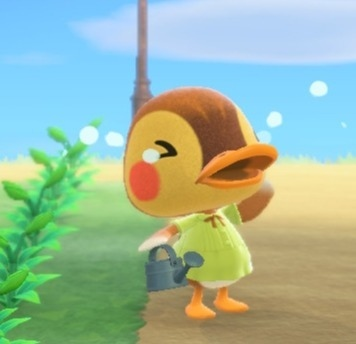  #winwin as molly from animal crossing ㅤㅤㅤㅤ ✎ ⇢ a thread