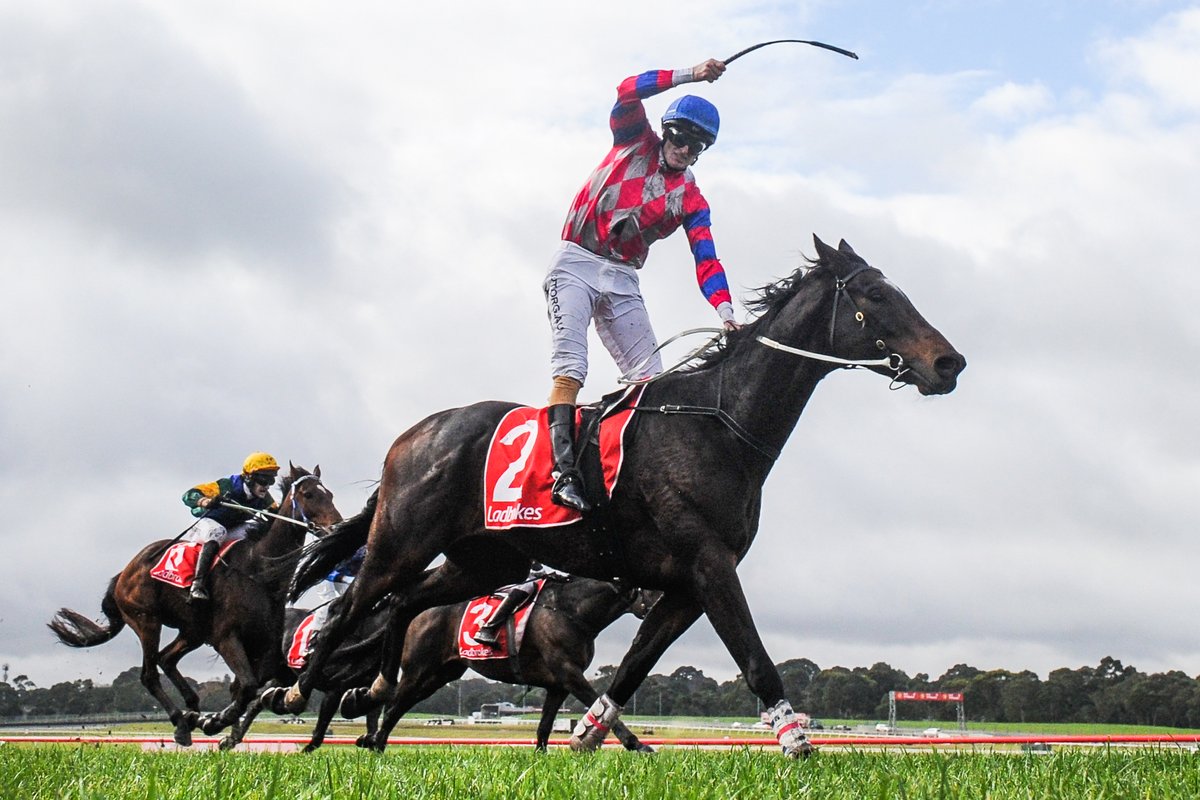 Darryl Horner (Jnr) celebrates winning the Australian Hurdle aboard Gobstopper at Ladbrokes Park Lakeside Racecourse today #horseracing #thoroughbredracing #horsephotography #horsephotographer #melbourneraces #melbourneracing #sportsphotography #horsetraining #racingphotography