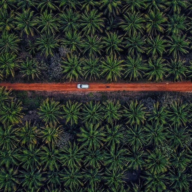 tripnxt's tweet photo. Famous the brilliant and rustic celebrations of Pongal. Theni
Book your unique tour: https://t.co/IX0W7zl4S2
#kodailanal #theni #pongal #festival #tamilnadu #covid19   #exploreindia #StayAlert  #ExploreLikeNeverBefore #travel_with_tripnxt #tripnxt #india
P.C : @my_shutter_life https://t.co/JmuwixujGS