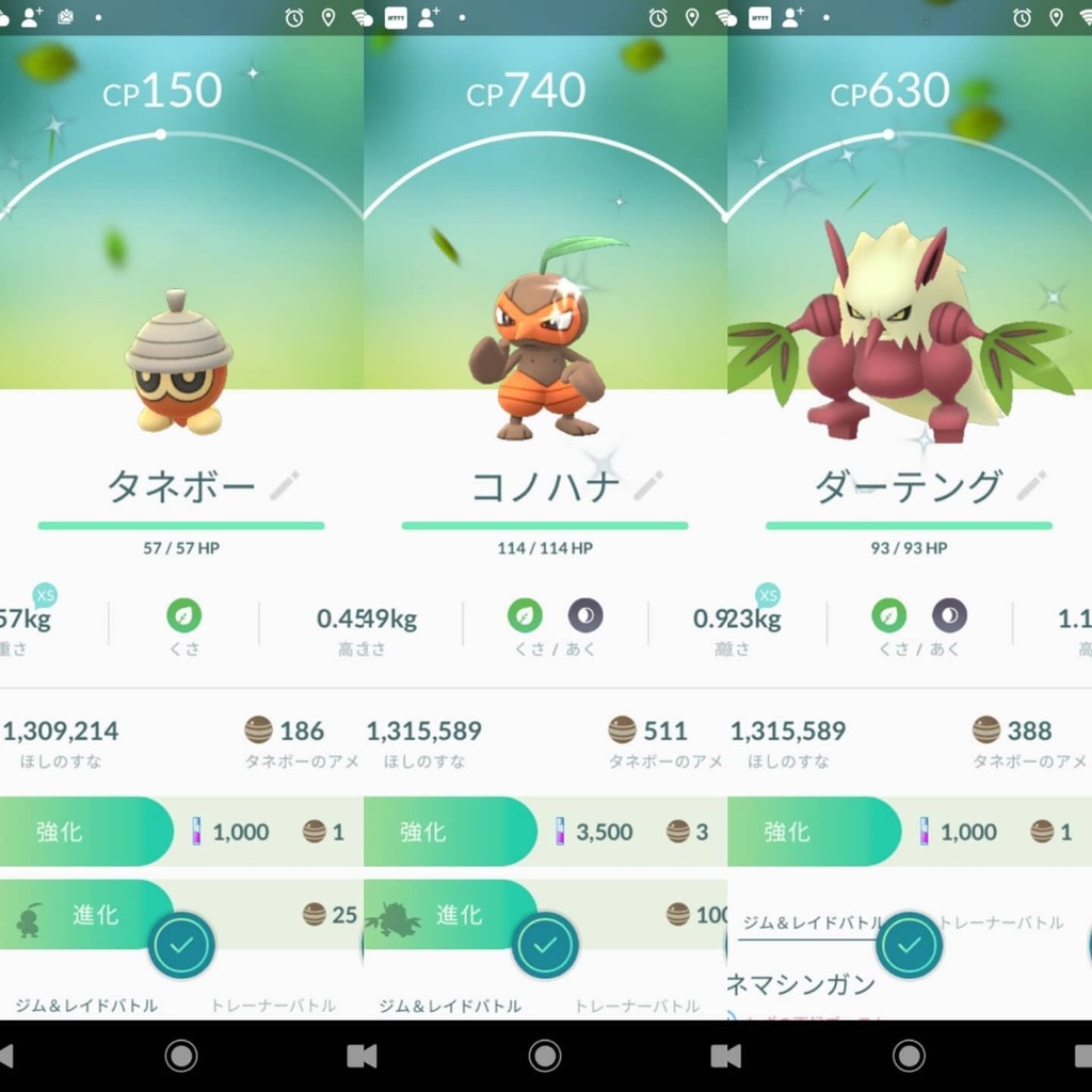 ハブータ 色違いのタネボーもたくさん捕まえた ポケモンgo タネボー コノハナ ダーテング 色違いタネボー 色違いコノハナ 色違いダーテング タネボー色違い コノハナ色違い ダーテング色違い T Co Hy8cpkapoa T Co Xjpebo9wxb