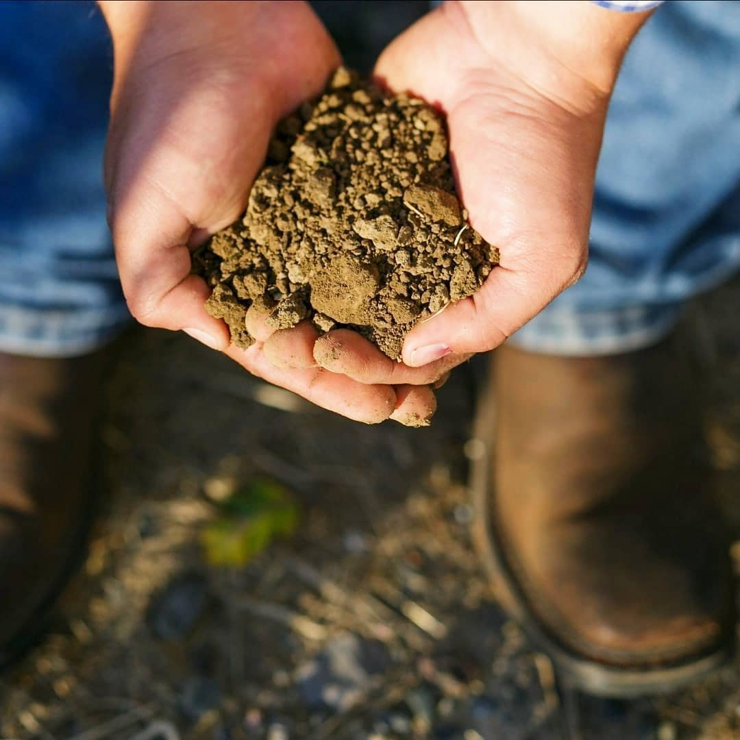 Does soil really affect wine’s quality?
.
Even if some specialists will argue that the influence of the soil is not as dramatic in wine quality as those presented by the climatic conditions of a region (or, even more so, by the weather conditions of a certai...