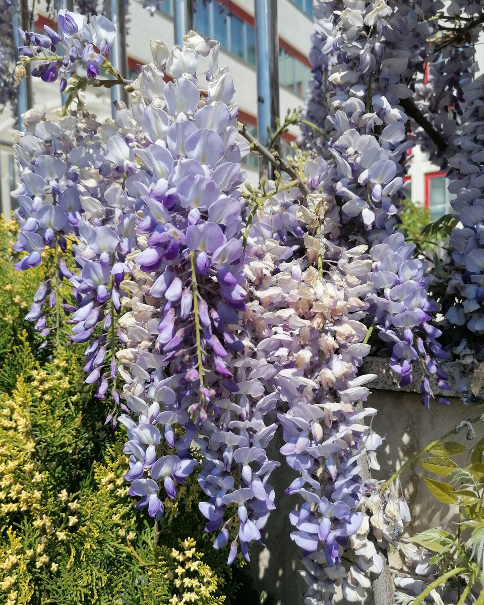 Ramazan Bayramınız Mübarek Olsun💐💐💚💜