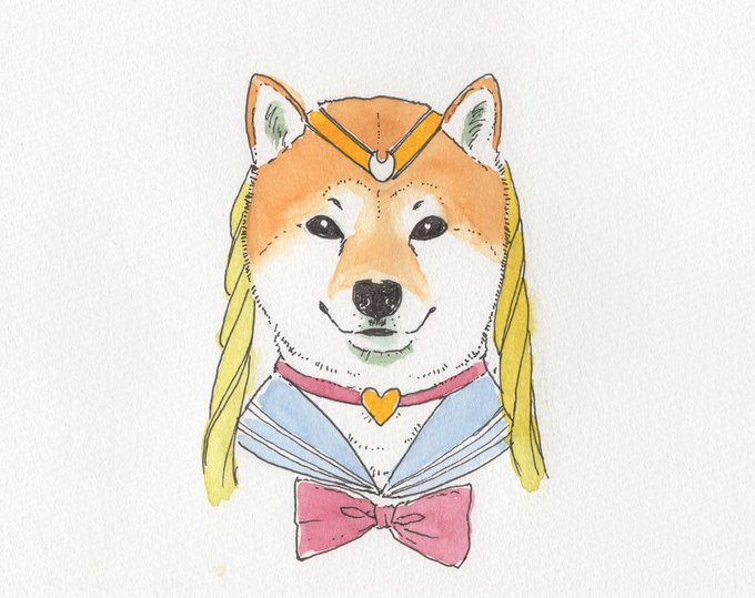 「柴犬 アナログ」のTwitter画像/イラスト(新着)｜5ページ目