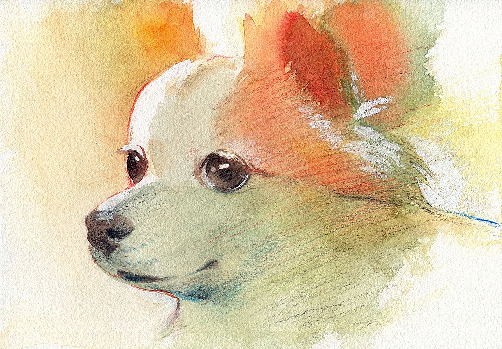 1boy solo male focus painting (medium) watercolor (medium) traditional media profile  illustration images