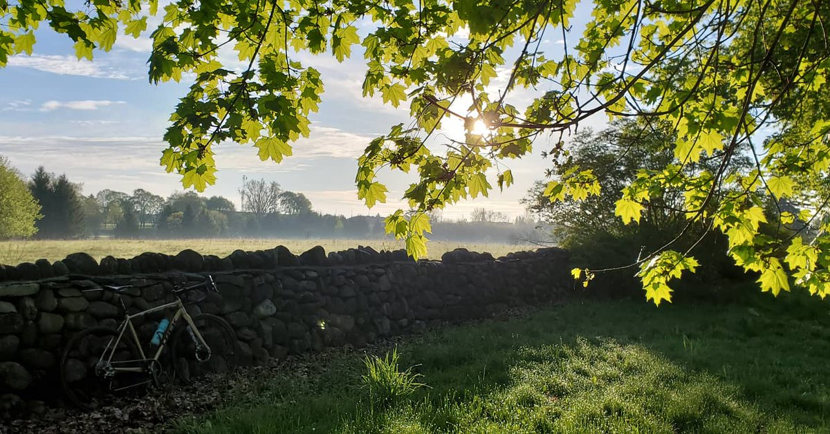 speedriverbike's tweet photo. Mornings, you continue to impress me.
#guelph #dawnpatrol #gravel #grustling #dawn #sunrise #bikes #localadventure #sundaywellspent https://t.co/JWForNjvZF