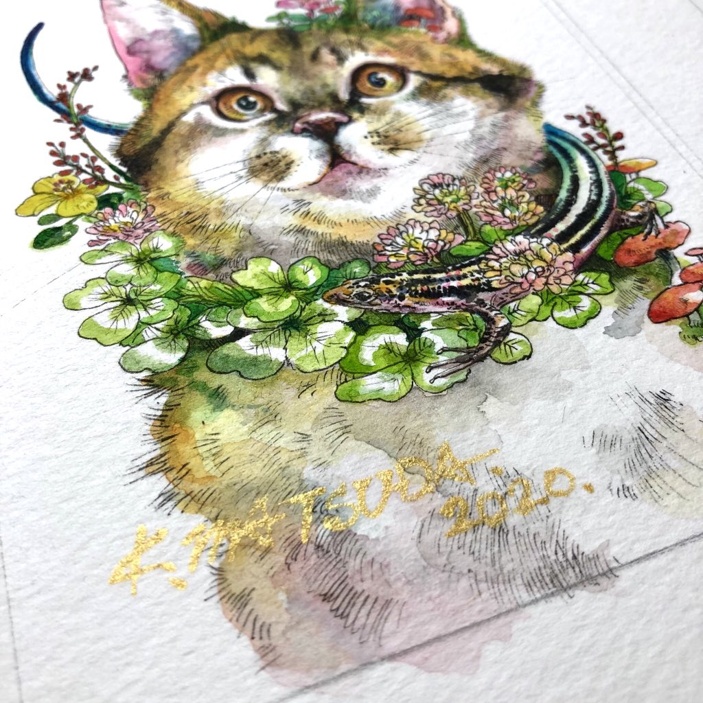 「『仔猫』ハガキ大 水彩 ペン
仲良しのシマリス飼いのruiさん宅のいろは君をモデ」|Keso Artのイラスト
