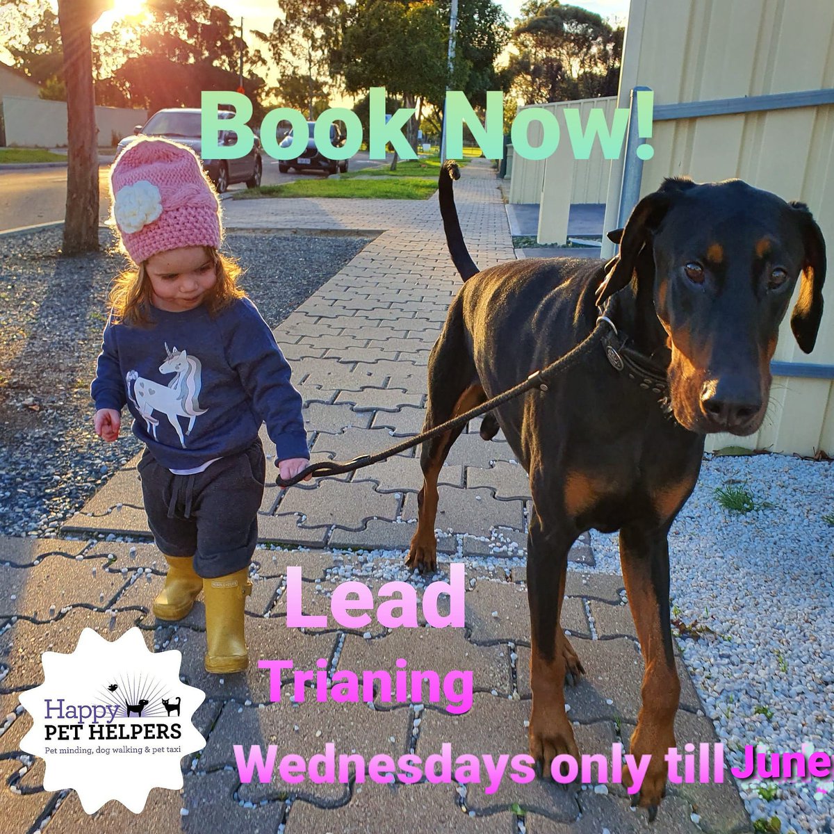 HappyPetHelpers's tweet photo. Need some extra tools to keep your dog walking loose lead? I would love to show you my tricks 🐕🐾💗 DM me or text 0407214456 for your booking.
#looseleaddogwalk #looselead #dogwalker #wednesday #doputupwithapullingdog #stopthepull #pullingdog #adelaide #dogsa #dogsofadelaide https://t.co/1FRvlngEKm