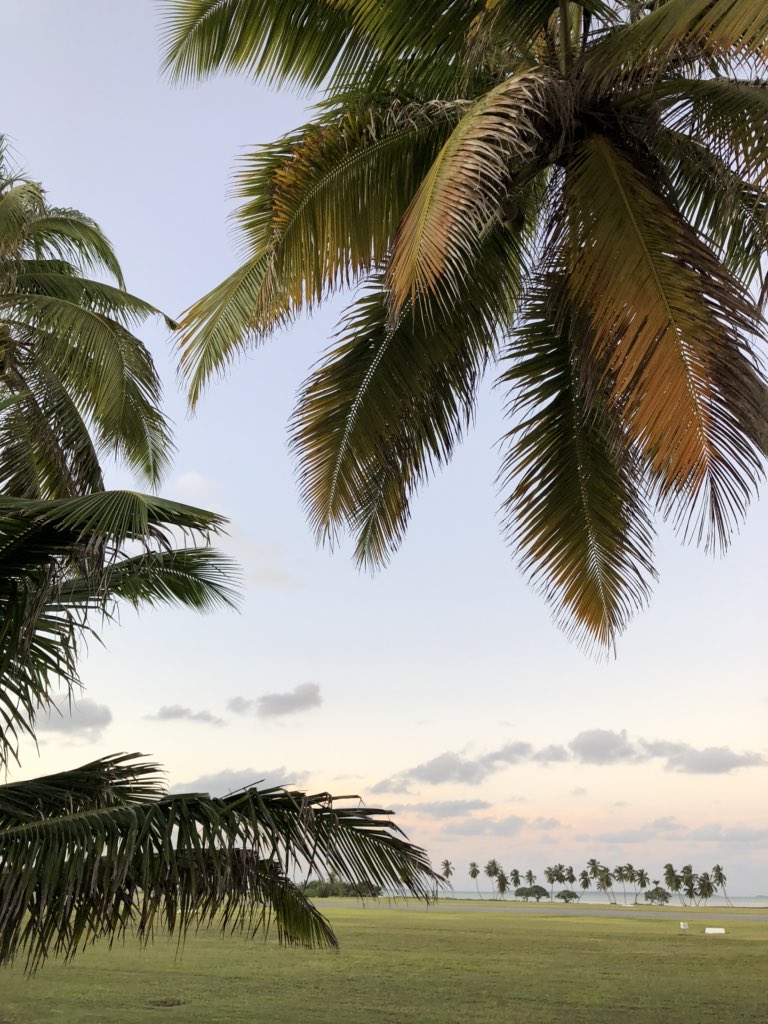 Would 10/10 recommended #cocosislands as a writing retreat destination. Did I mention there’s no phone network to distract you? Working on a lit review with this view from my front porch.