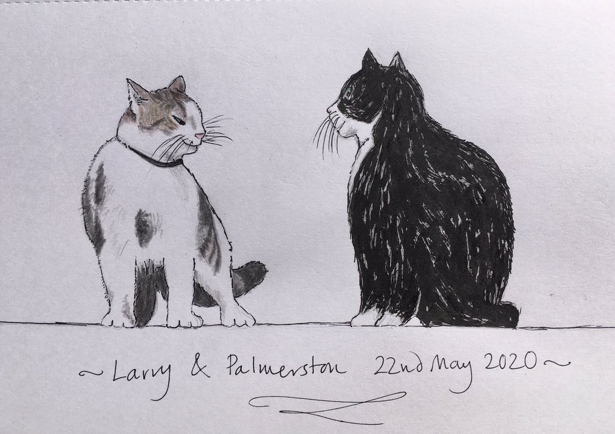 This from  @_sarahdesign captures the respect and affection that  @DiploMog and I have for each other