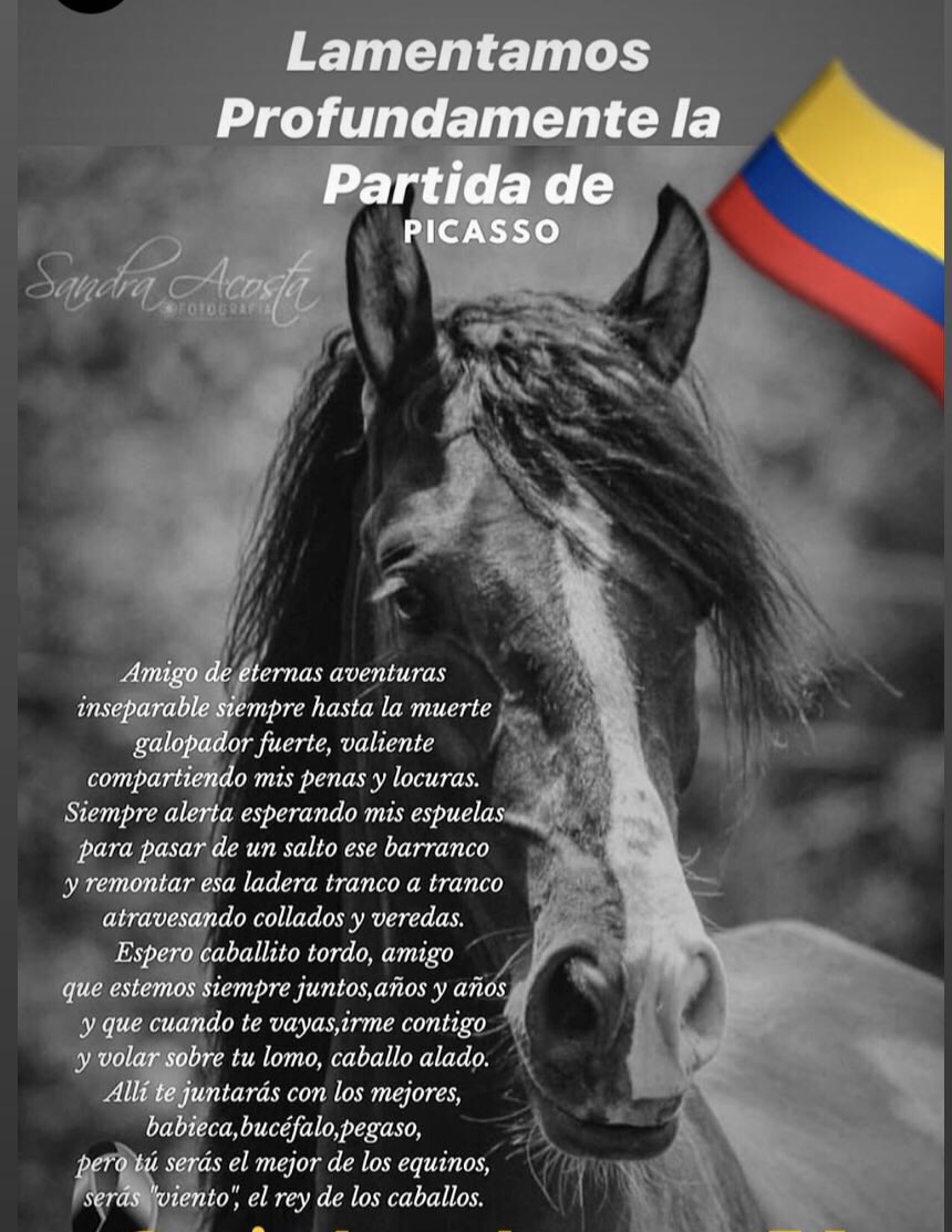 Buenos días familia Uribista. con el corazón arrugado por esta triste pérdida les quiero agradecer a cada uno de los que han dejado su mensaje de condolencia por la pérdida de mi potro PICASSO.  Dios los bendiga y muchas gracias por ser tan especiales , en un par de días regreso.